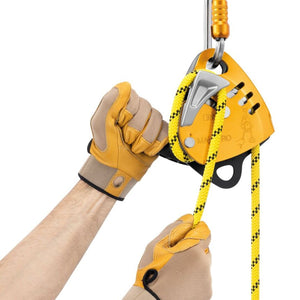 Petzl MAESTRO Series Descender