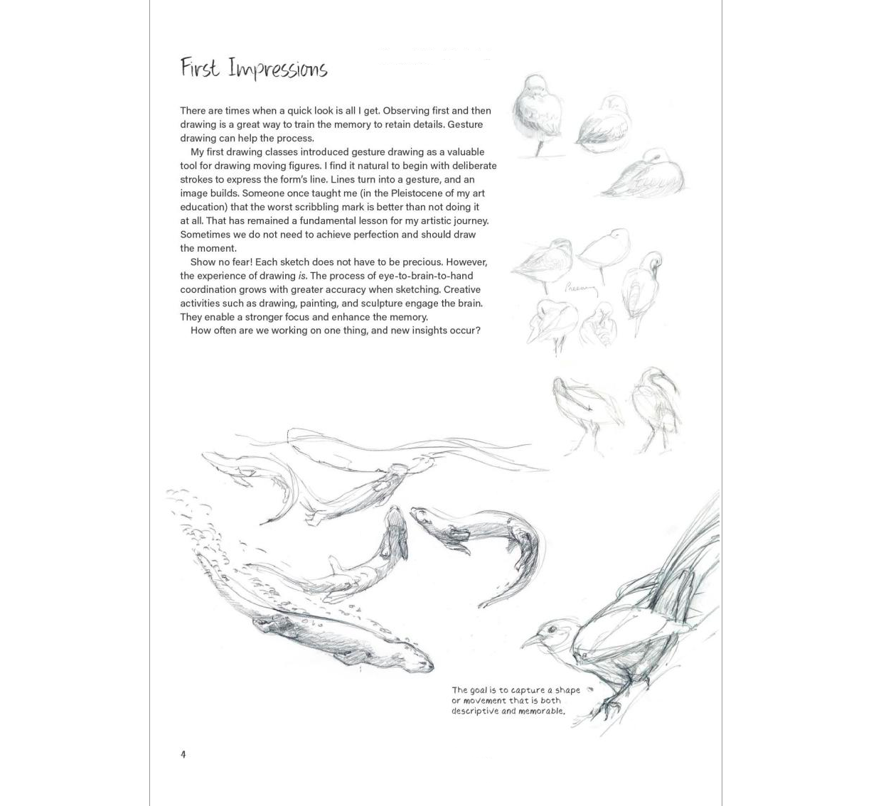 nature drawing description