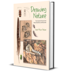 Drawing Nature: The Creative Process of an Artist, Illustrator, and Naturalist