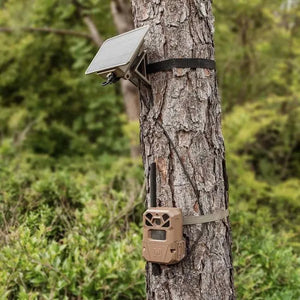 Moultrie Cellular Trail Cameras EDGE 2 36 MP