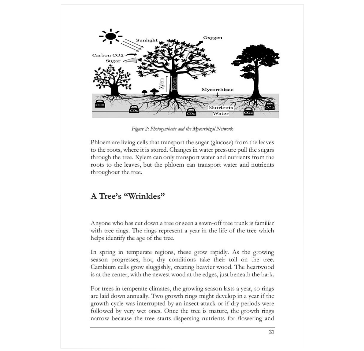 Basic Tree Information Explore The Secret Nature of Trees: Fascinating Facts About Tree Commu ...