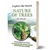 Explore The Secret Nature of Trees: Fascinating Facts About Tree Communication, Science, Legends, Global Connections and More