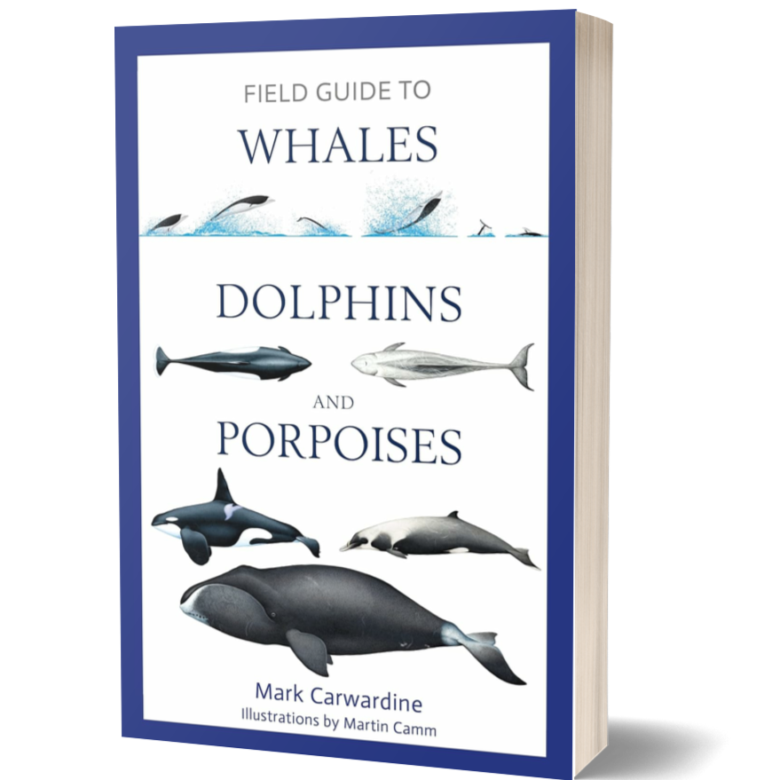 Field Guide to Whales, Dolphins and Porpoises