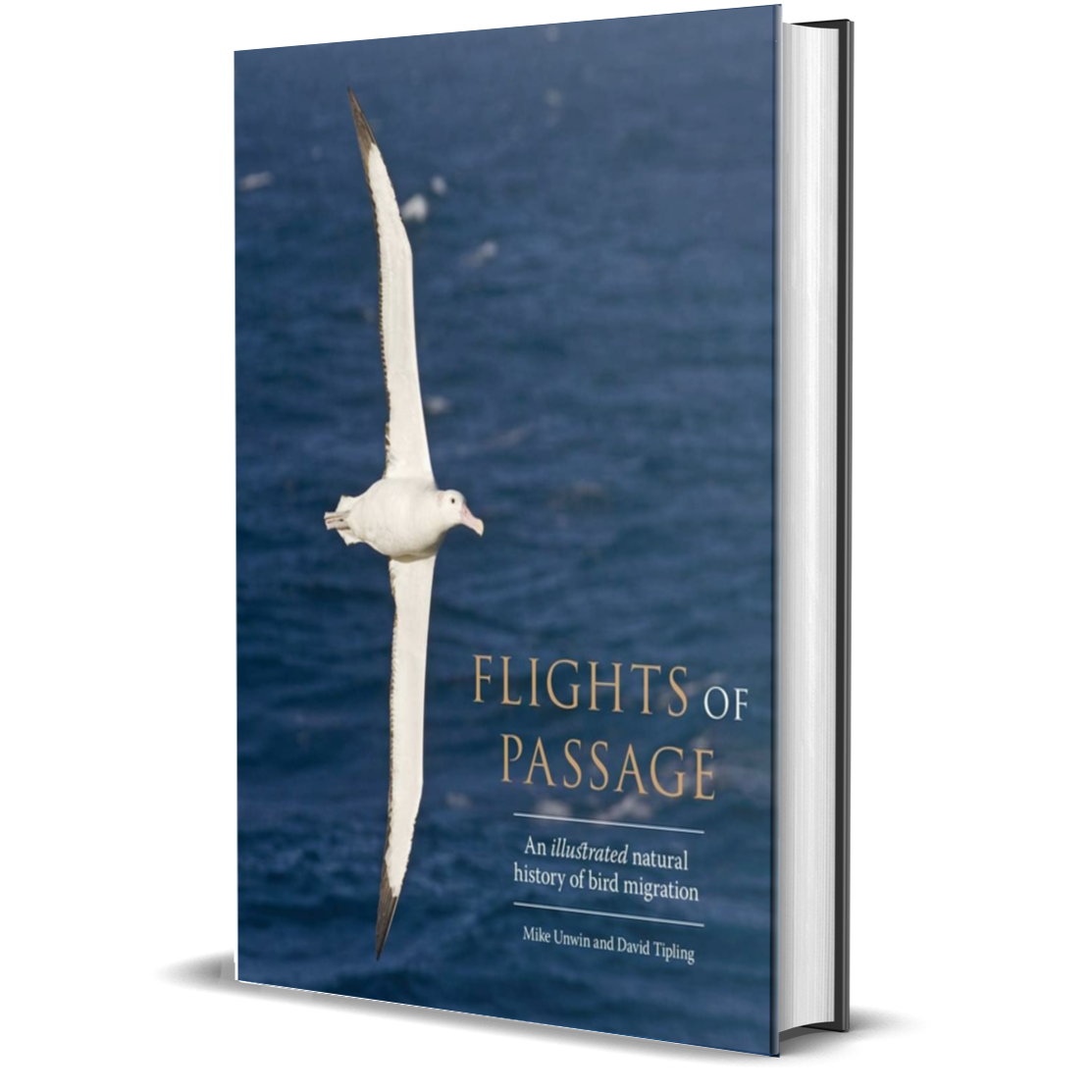Flights of Passage An Illustrated Natural History of Bird Migration