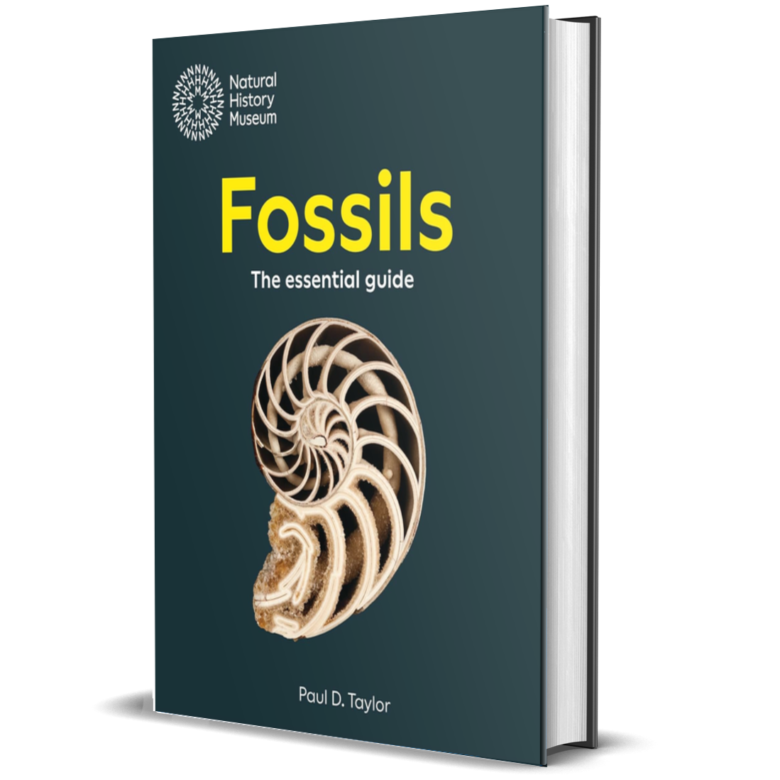 Fossils: The Essential Guide