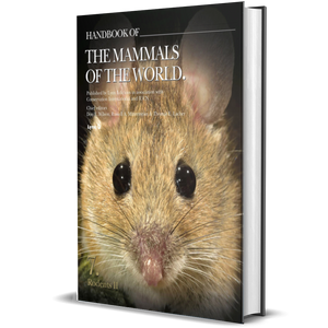 Handbook of the Mammals of the World. Vol.7: Rodents II