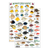 Hawaii Reef Fish #1 Identification Guide