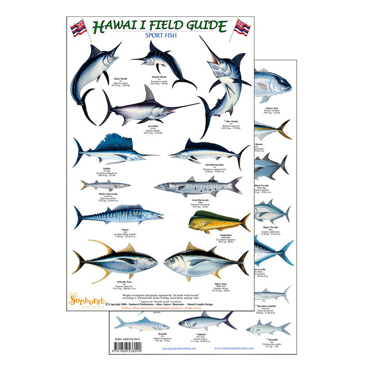 Hawaii Sport Fish Identification Guide