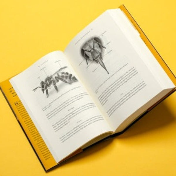 Honey Bee Biology - BIOWEB USA