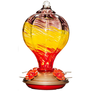Hand-Blown Glass Hummingbird Feeders with Perch 32 oz