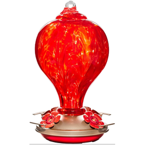 Hand-Blown Glass Hummingbird Feeders with Perch 32 oz