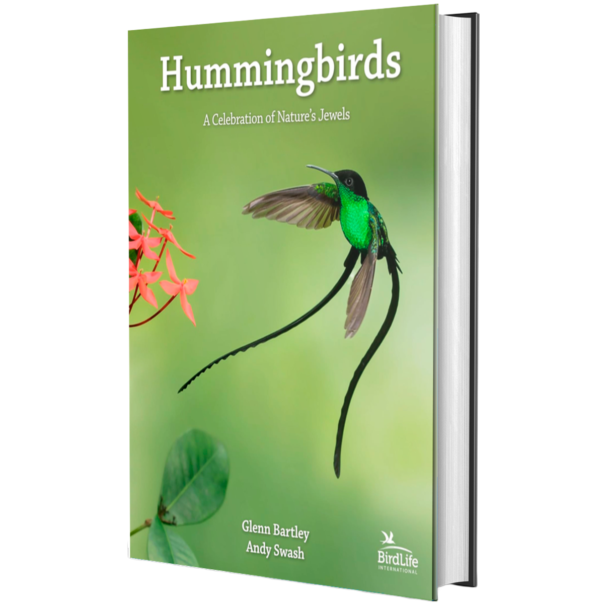 Hummingbirds: A Celebration of Nature's Jewels