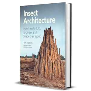 Insect Architecture: How Insects Build, Engineer, and Shape Their World