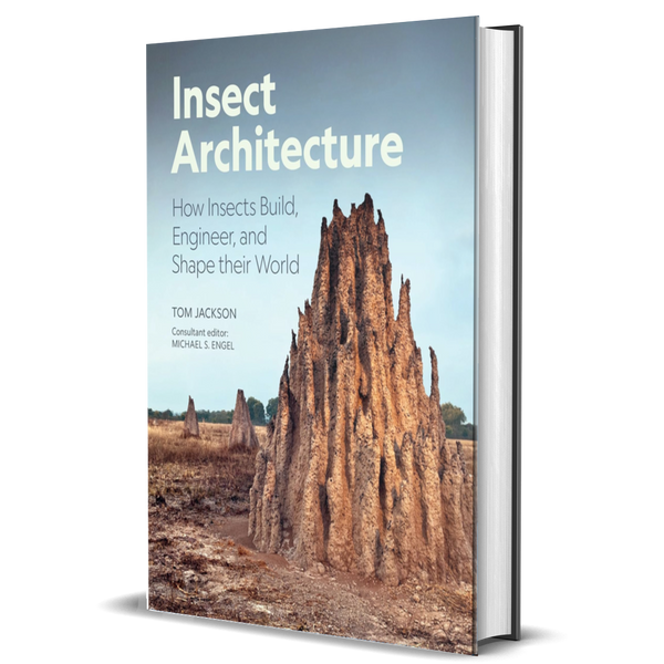Insects Build Insect Architecture: How Insects Build, Engineer, and Shape Their Worl ...