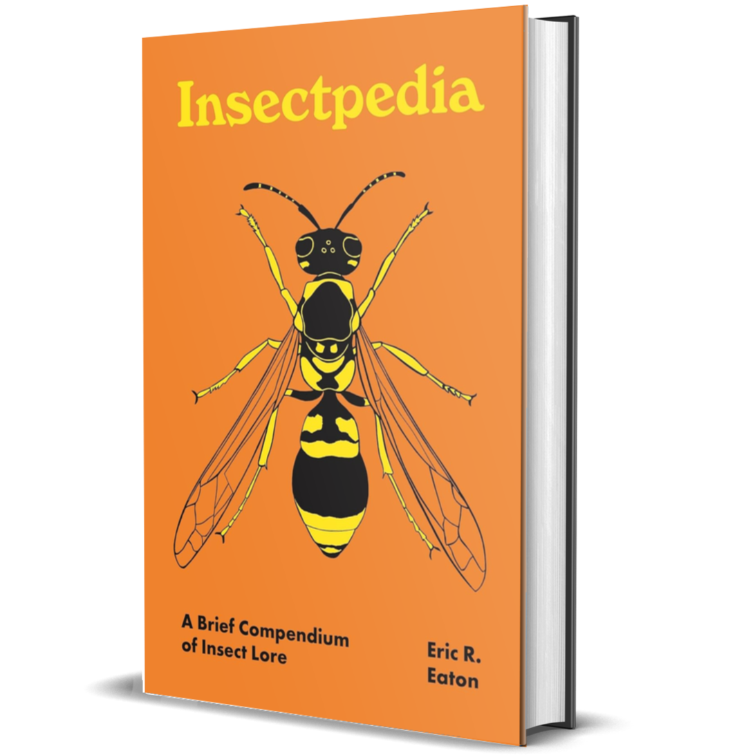Insectpedia: A Brief Compendium of Insect Lore 
