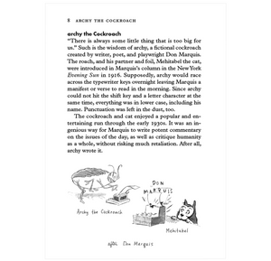 Insectpedia: A Brief Compendium of Insect Lore 