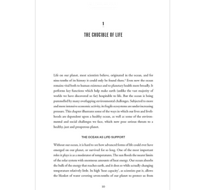 Look Inside Also Available: A Blue New Deal Why We Need a New Politics for the Ocean