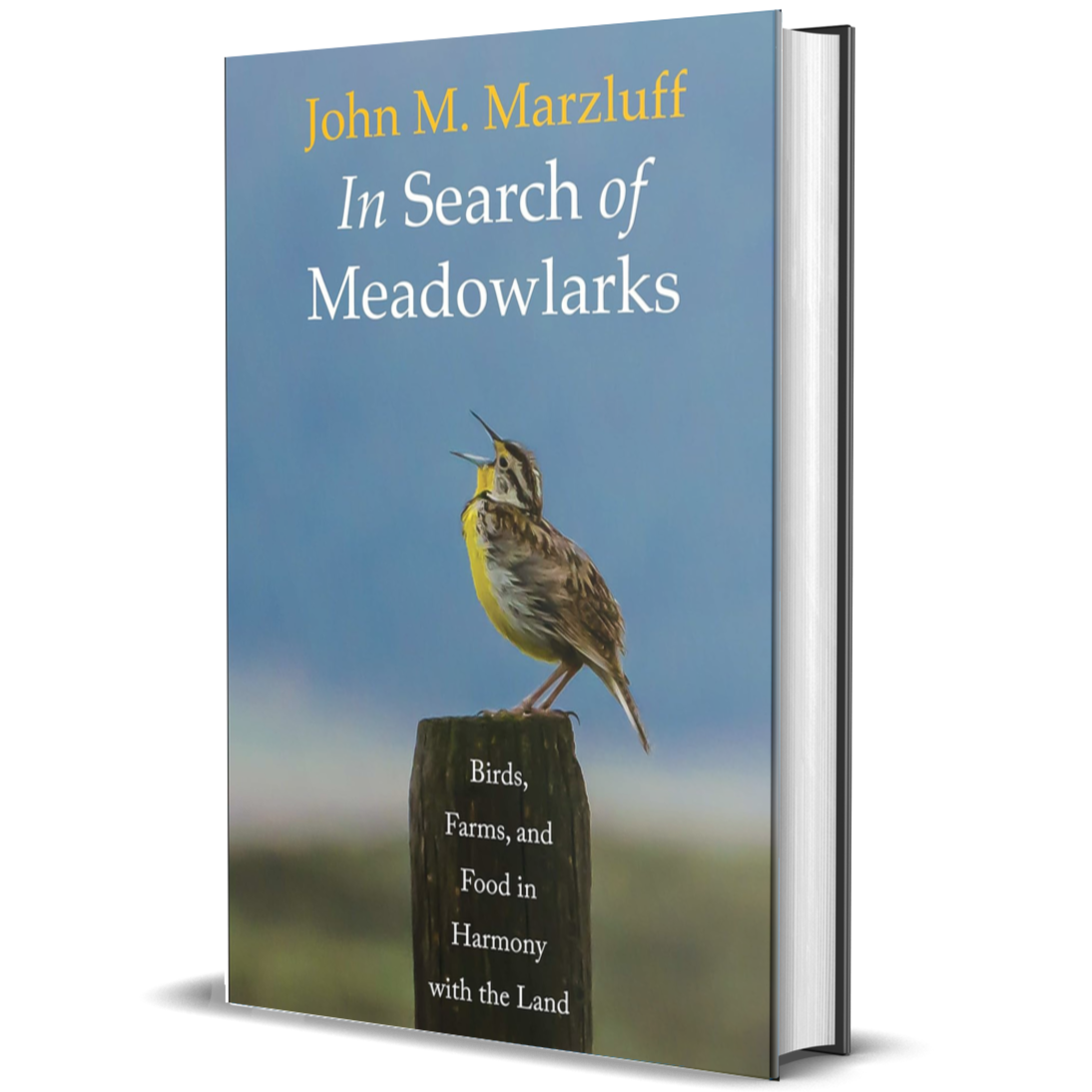 Look Inside Also Available: In Search of Meadowlarks