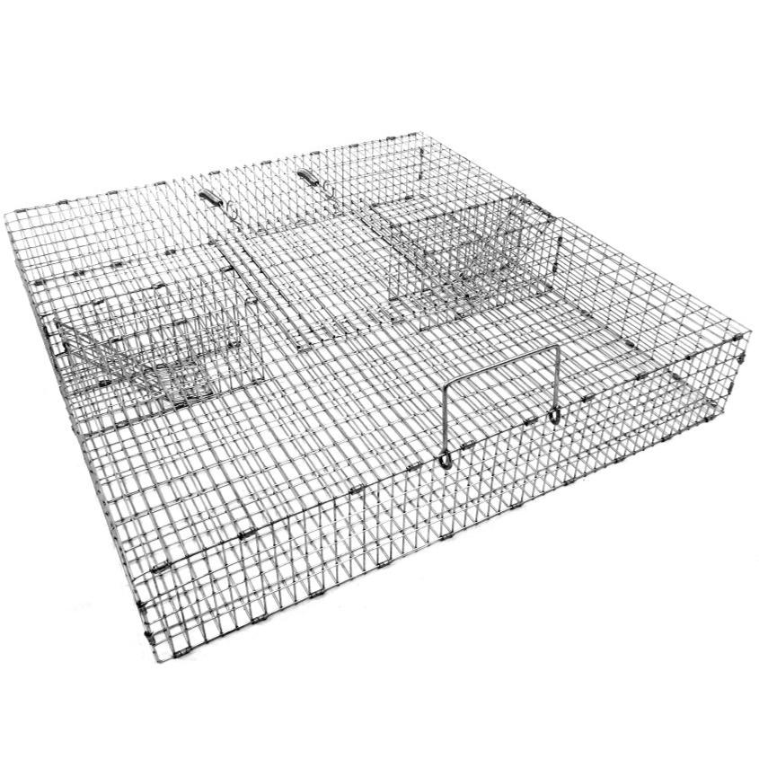 Multiple Catch Trap With Large Holding Area