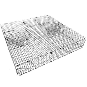 Multiple Catch Trap With Large Holding Area