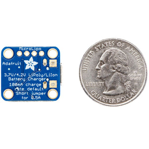 Micro-Lipo Charger for MicroMoth Battery