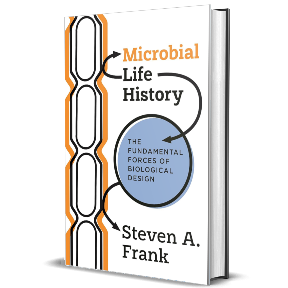 Microbial Life History: The Fundamental Forces of Biological Design