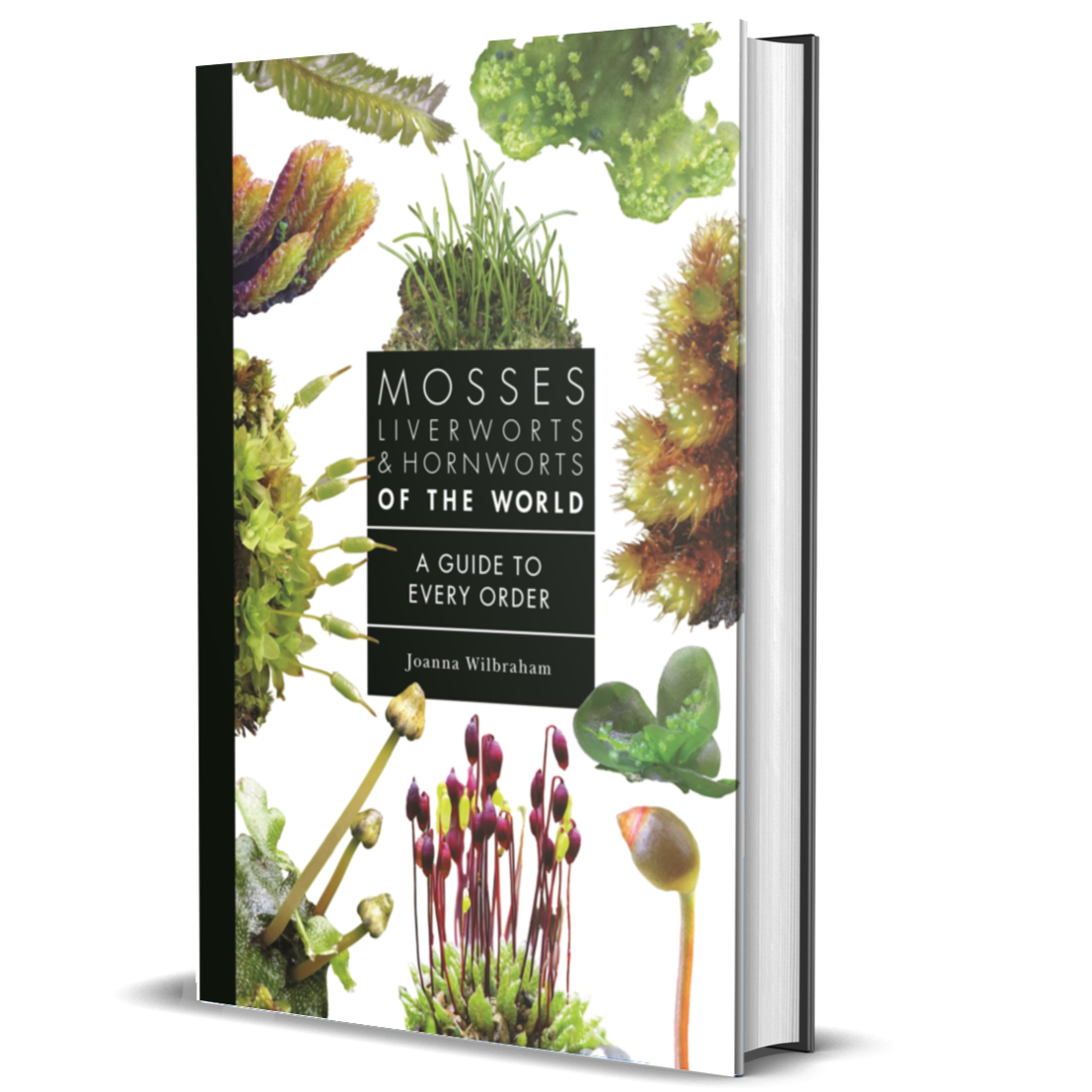 Mosses, Liverworts, and Hornworts of the World: A Guide to Every Order (A Guide to Every Family)