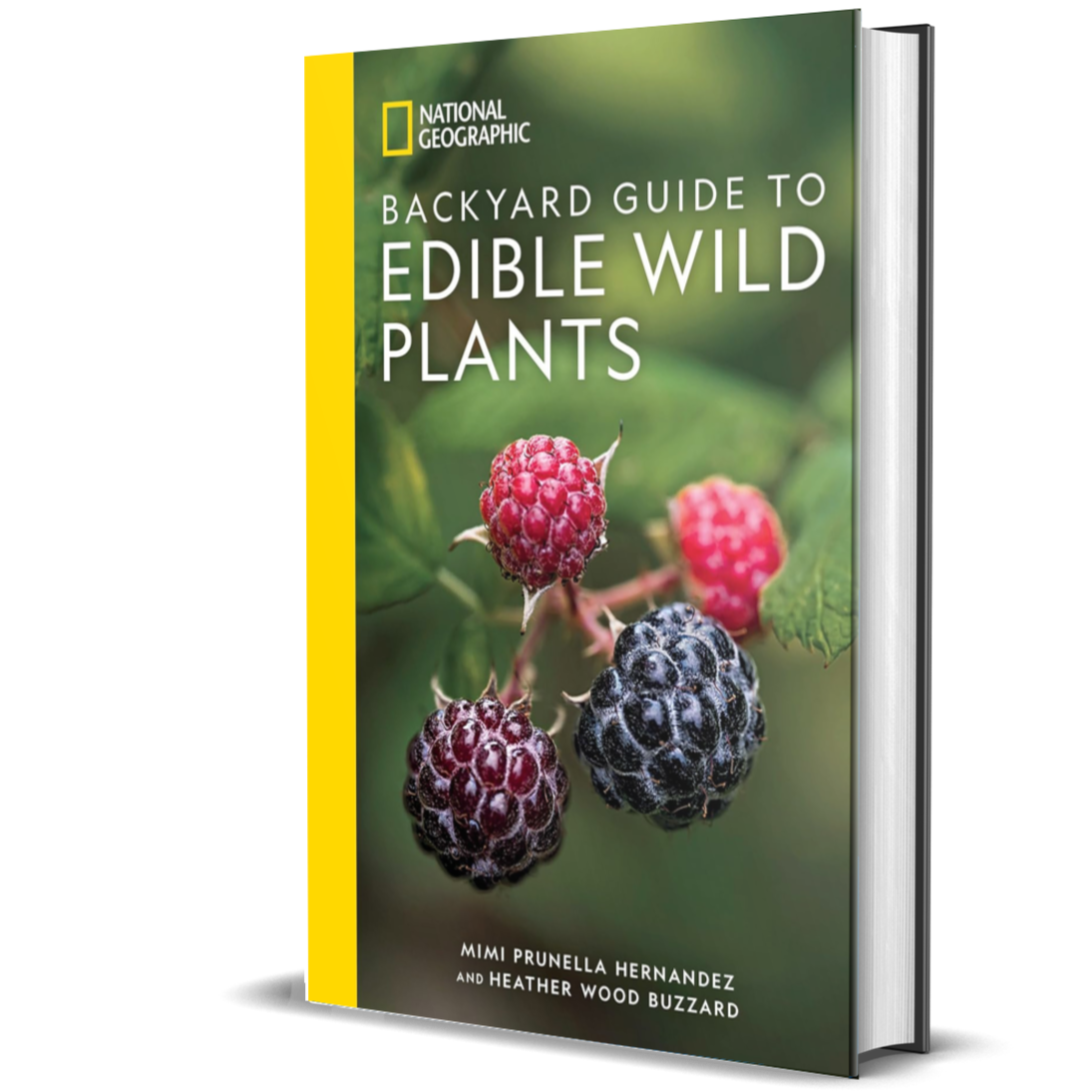 National Geographic Backyard Guide to Edible Wild Plants (National Geographic Backyard Guides)