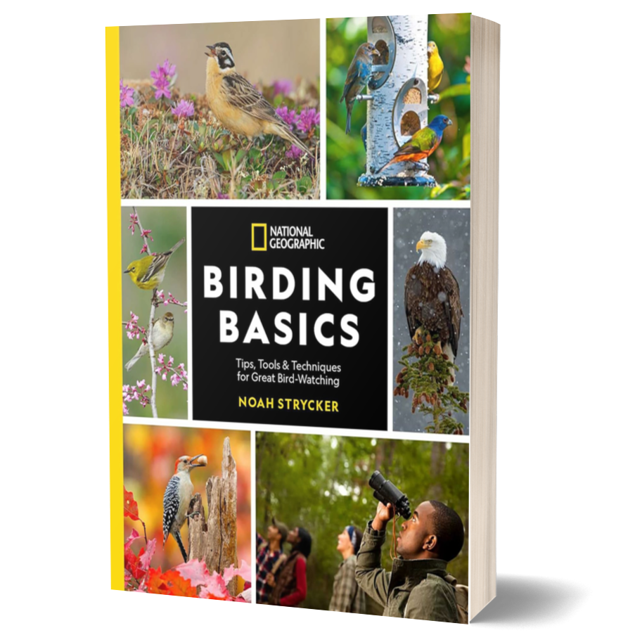 National Geographic Birding Basics: Tips, Tools, and Techniques for Great Bird-Watching