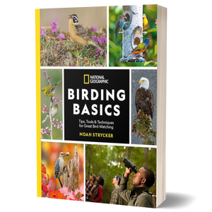National Geographic Birding Basics: Tips, Tools, and Techniques for Great Bird-Watching
