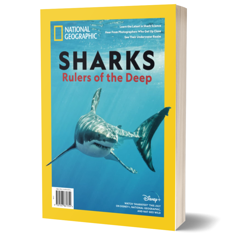 National Geographic Sharks