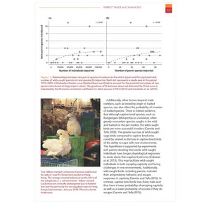 Naturalized Parrots of the World: Distribution, Ecology, and Impacts of the World's Most Colorful Colonizers