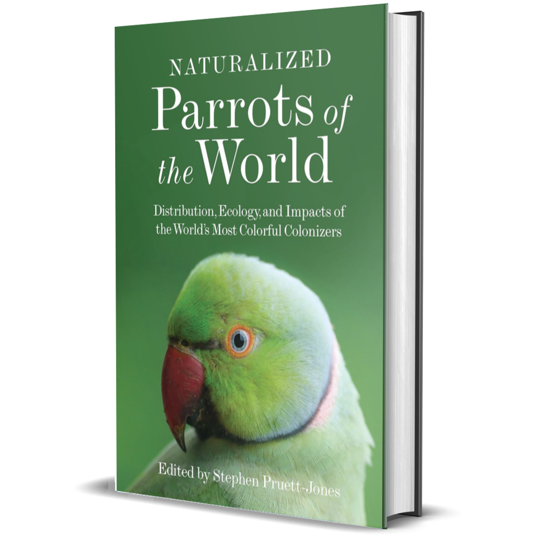 Naturalized Parrots of the World: Distribution, Ecology, and Impacts of the World's Most Colorful Colonizers