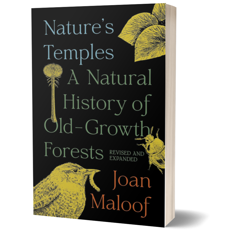 Nature's Temples: A Natural History of Old-Growth Forests Revised and Expanded