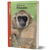 Neotropical Primates