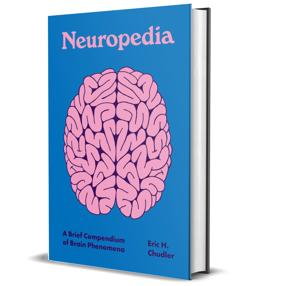 Neuropedia: A Brief Compendium of Brain Phenomena