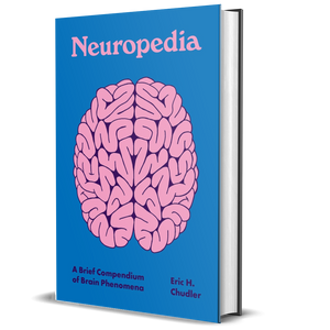 Neuropedia: A Brief Compendium of Brain Phenomena