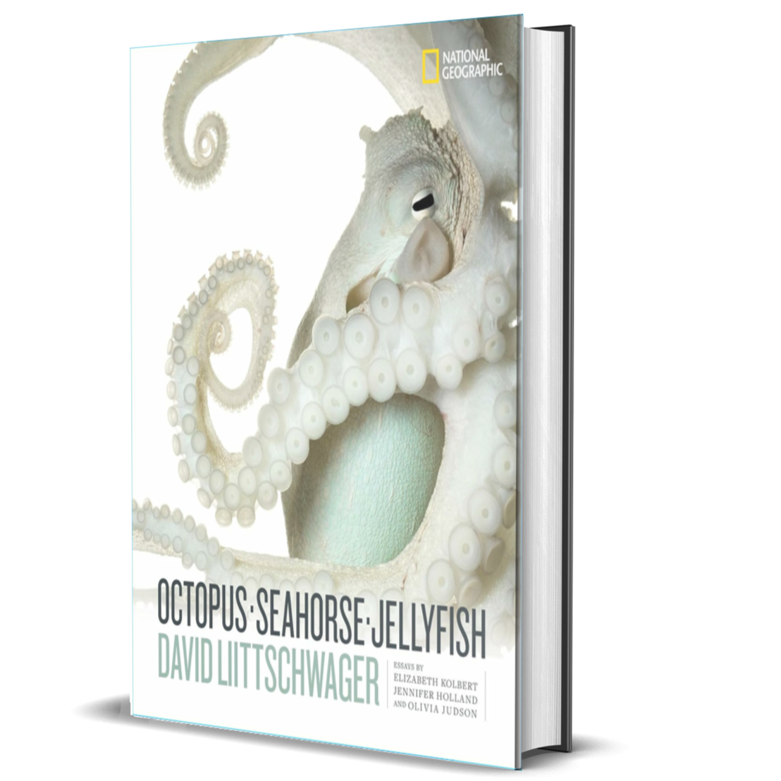 Octopus, Seahorse, Jellyfish