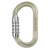 Petzl Oxan Carabiner