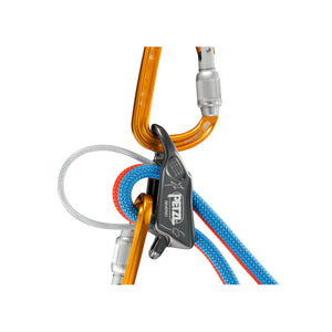 Petzl REVERSO Descender