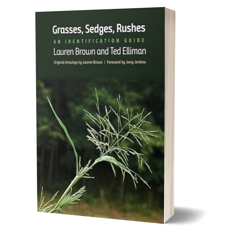 Grasses, Sedges, Rushes: An Identification Guide