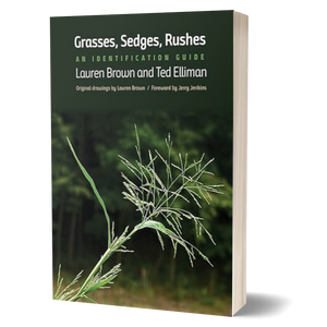 Grasses, Sedges, Rushes: An Identification Guide
