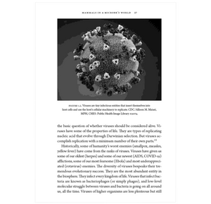 Plagues upon the Earth: Disease and the Course of Human History