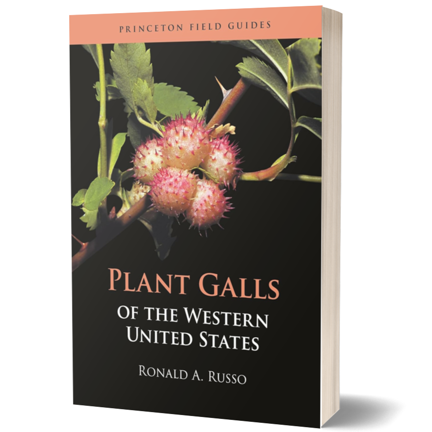 Plant Galls of the Western United States