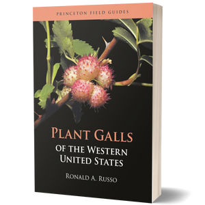 Plant Galls of the Western United States