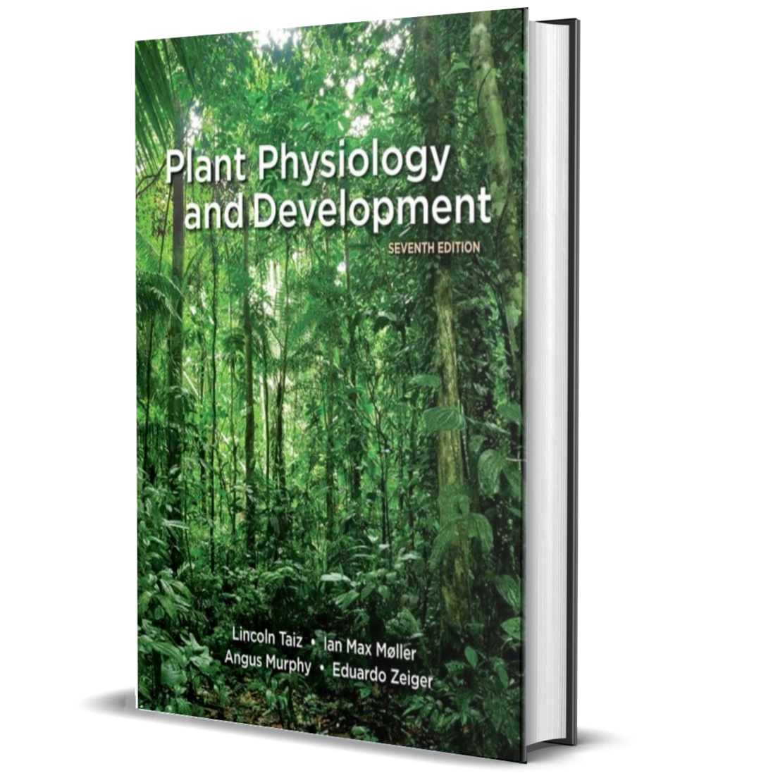 Plant Physiology and Development