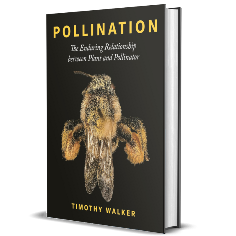 Pollination: The Enduring Relationship between Plant and Pollinator ...