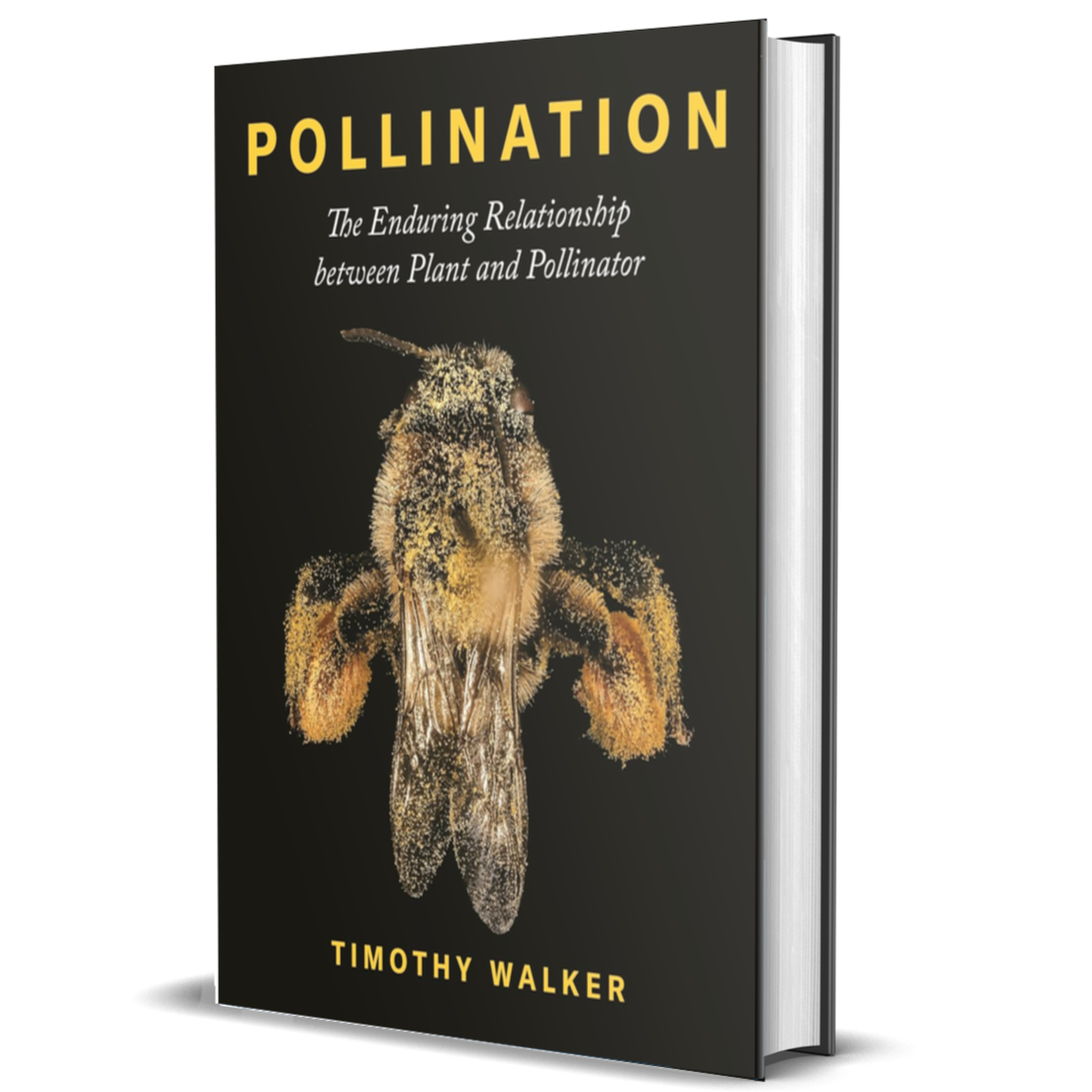 Pollination: The Enduring Relationship between Plant and Pollinator