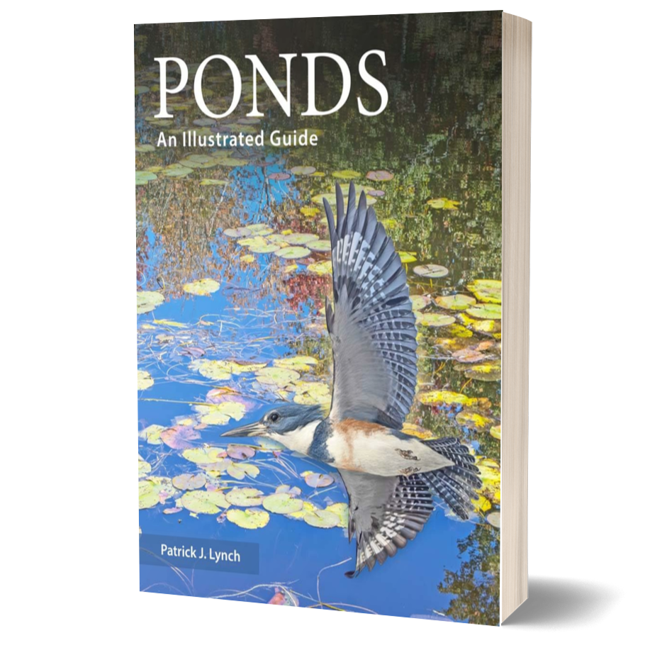 Ponds: An Illustrated Guide