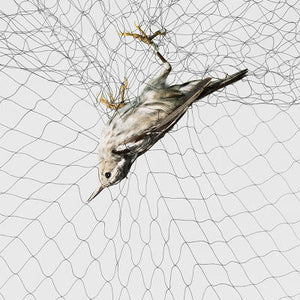 B•Tools Mist Net Mesh 30, 75D/2P, 12 x 2.5 m